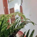 De Apartman Santa Cruz de Tenerife