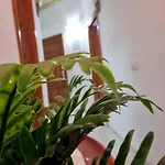 De Apartment